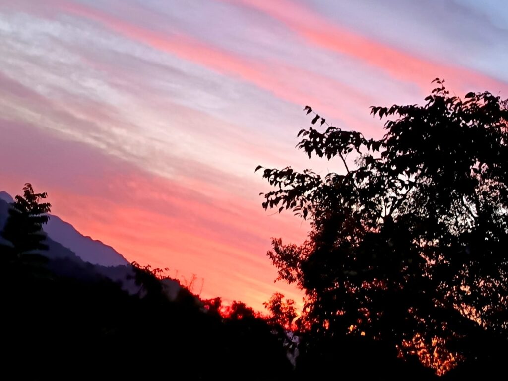 🐦 Minca’s Birdwatching Revolution: 2025 Conservation Success Stories