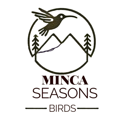 Logo-Minca-Colibri__1_-removebg-preview