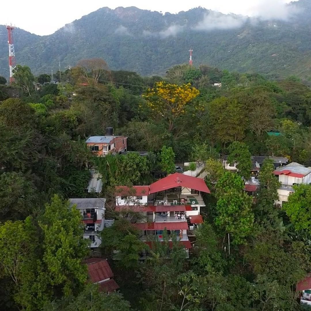 birdwatching hostel Minca